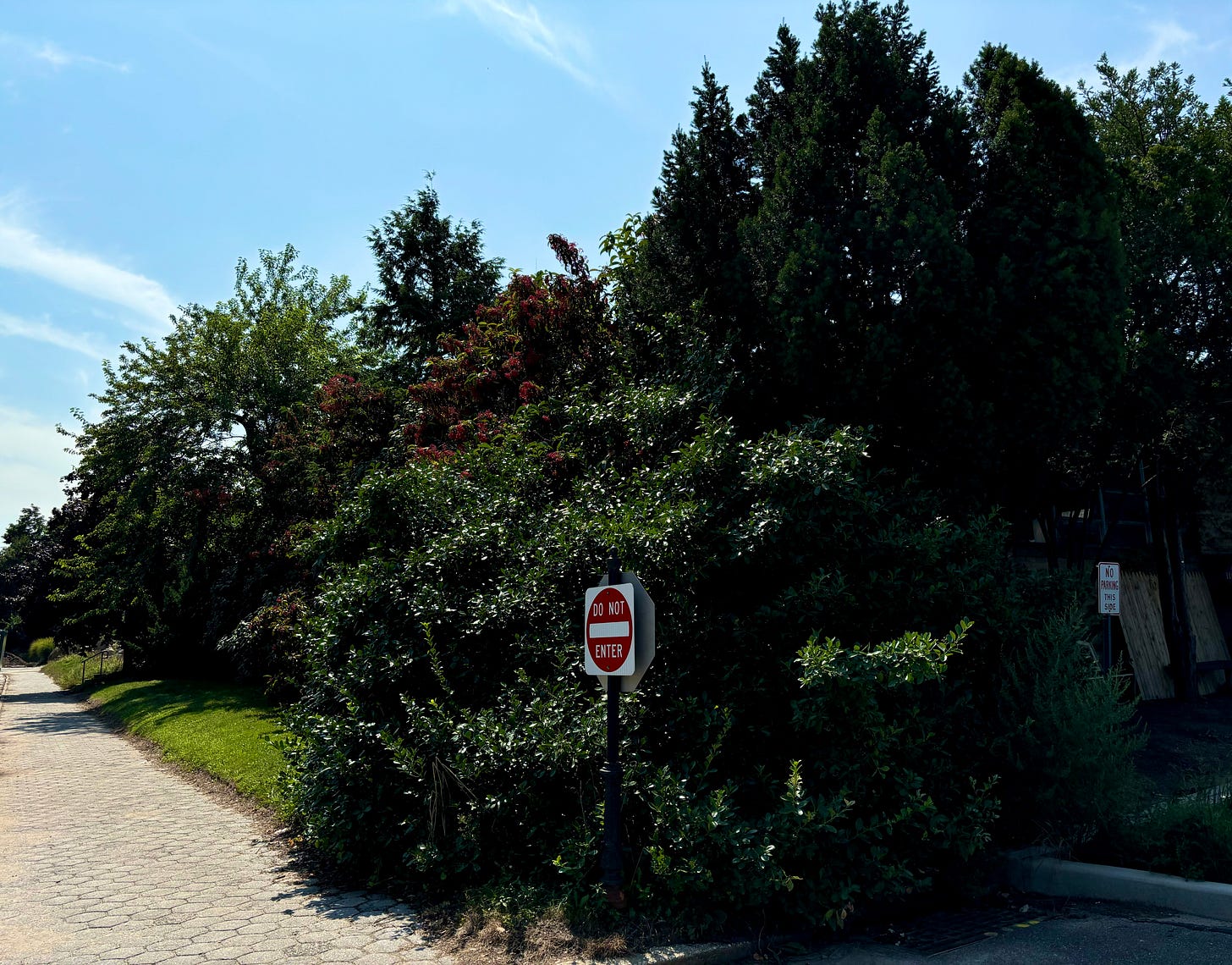 Just a nice looking bunch of bushes and shrubbery. It's what once stood vaguely behind the bushes that's interesting. (And long gone.)