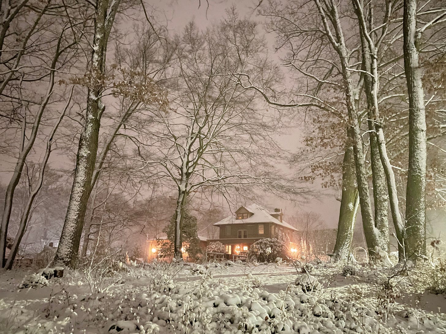 Havenwood’s Woodland Garden covered in snow