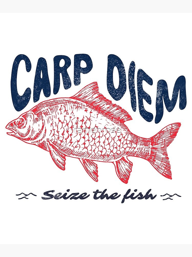 Carp Diem, Seize The Fish, Funny Fisherman Distressed Graphic | Poster