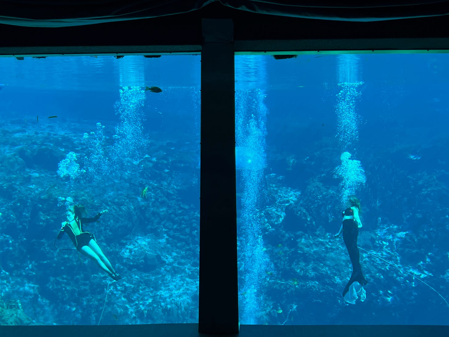 a large glass window reveals an underwater view of a spring. Two women are suspended about 10 feet below the surface. The woman on the left is blond and dressed in a ringmaster costume. The woman on the right has brown hair and wears a purple bikini top and purple mermaid tail. 