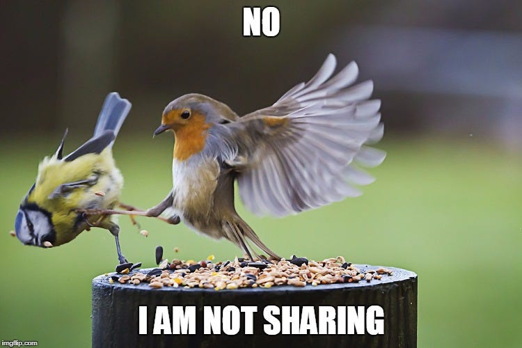 Not Sharing Flying Kick Bird Memes - Imgflip