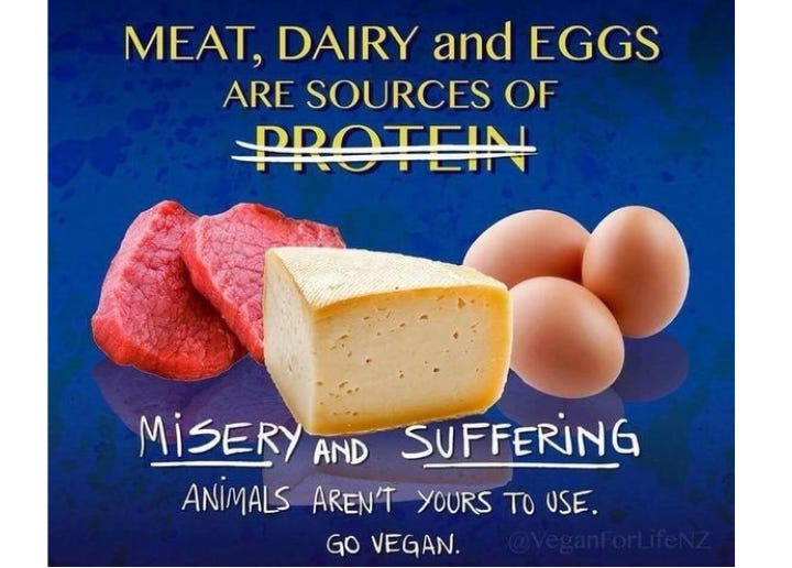 Meat and dairy might provide protein, but they also come with immense suffering, environmental damage, and health risks. Plant-based proteins like beans, lentils, and tofu nourish without cruelty. Compassionate choices build a better world—go vegan! 🌱