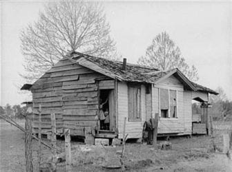 Sharecroppers House, the symbol of white privilege if there was any, is strangely common amongst white sharecroppers as well.

