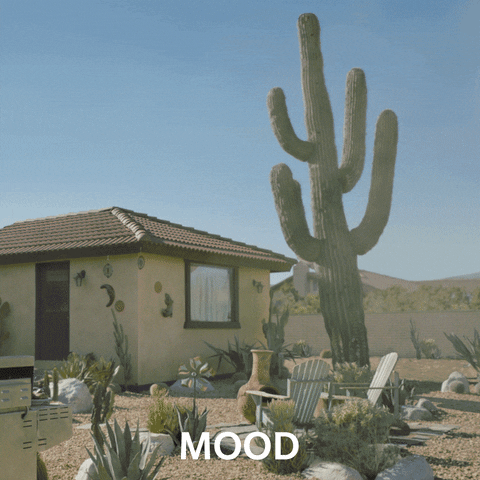 A big old cactus falls into a house and smashes the roof. This GIF is apparently from a Farmers Insurance ad, according to GIPHY. I kind of love that insurance companies now have people in charge of making fun GIFs to promote their products. WHAT A TIME TO BE ALIVE.