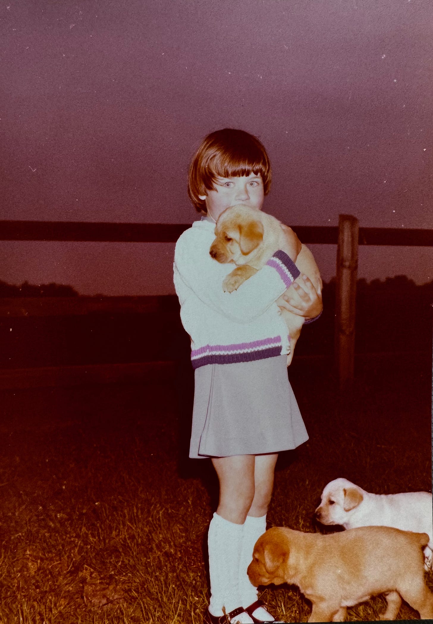 Author aged 6 years old holding a 4 week old golden Labrador puppy