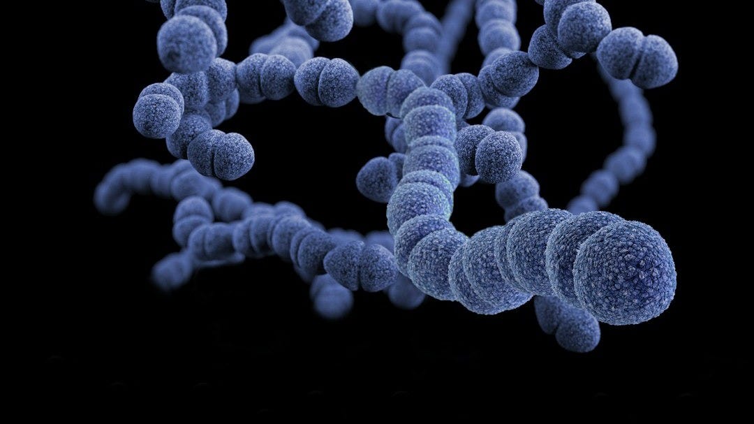 Medical Stock Soars 38% After FDA Clearance For Its Expanded T2Bacteria Panel