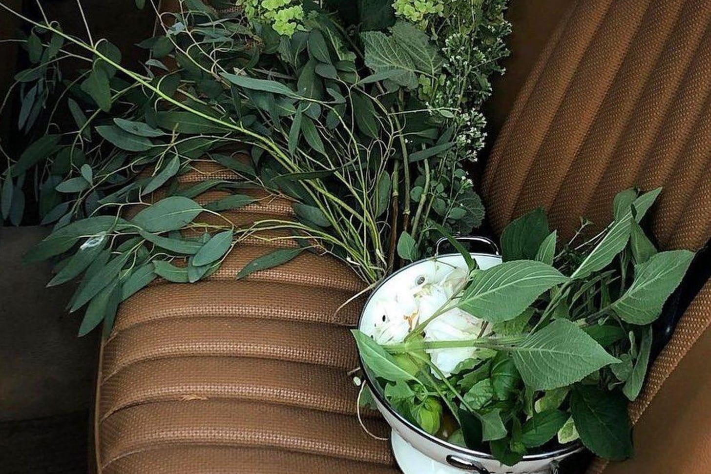 foraged herbs and flowers