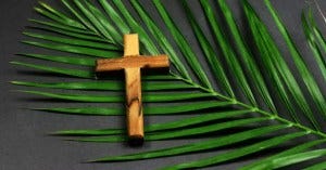 9166 palm sunday easter wooden cross on palm getty