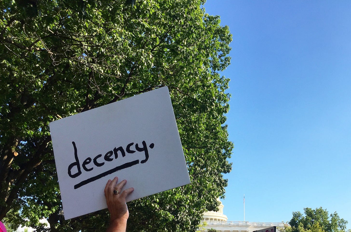 A photo of a protest sign held in the air by a man's right hand, against a background of a green-leafed tree and a blue sky. A white government building is visible on the horizon. The sign, written in black marker on white cardboard, simply reads "decency."