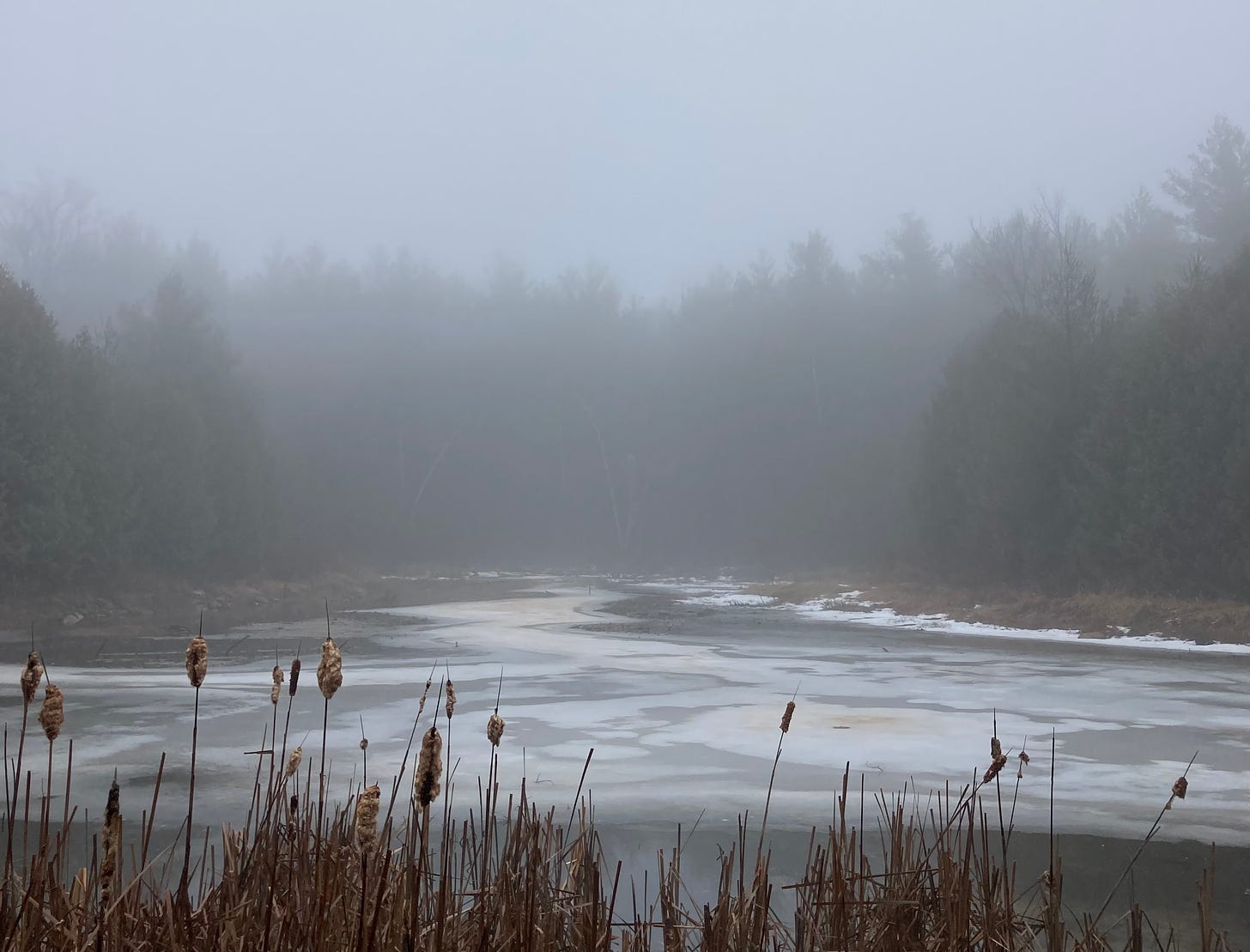 a misty pond swirled with melting ice, trees silhouetted in the mist behind it