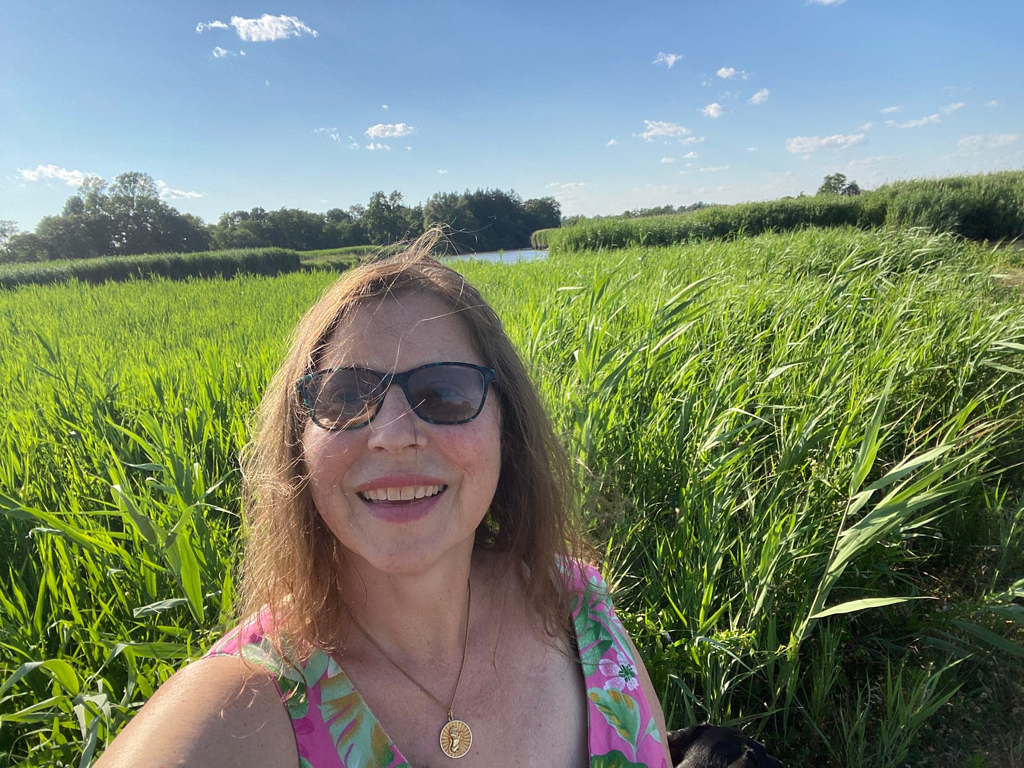 gabrielle is a white skinned woman earing sunglasses and a pink sundress standing in front of tall green grass with a blue sky behind her