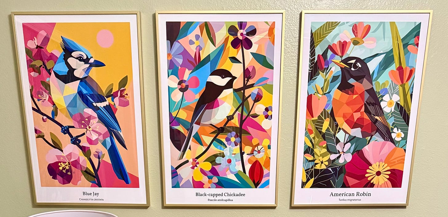 Three colorful prints of different birds, each in a gold frame
