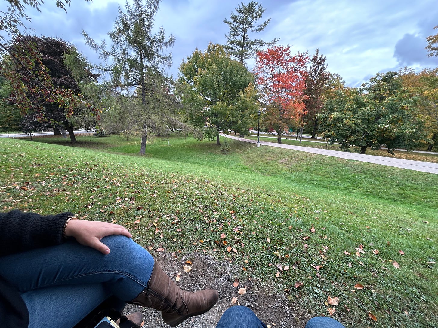 Pictured: Two friends seated on a bench overlooking a glen on campus at UNB Fredericton