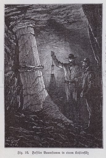 Fossilised tree trunk in a seam of coal in a mine stock image | Look and  Learn