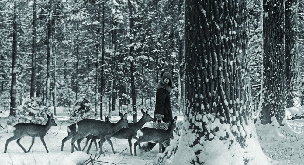 Simona with a pack of deer, photo: Lech Wilczek