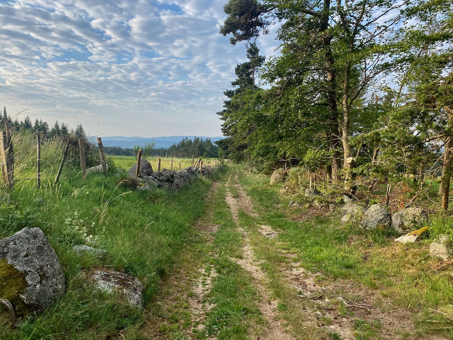 Vers le mont Lozère Vers le mont Lozère