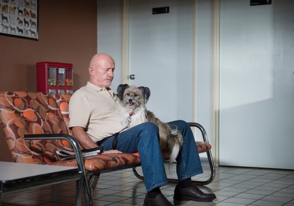 Mike Ehrmantraut with cute dog in better call saul rico 2015 images