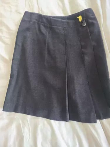 VINTAGE ARMANI COLLEZIONI GREY A-LINE SKIRT PLEATS UNIQUE CLEAN EUC SIZE 8 - Picture 1 of 6