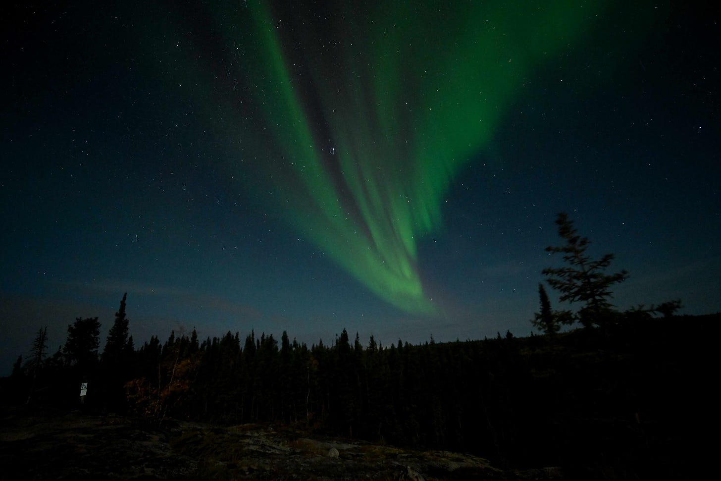 The aurora borealis, green, red, purple, over a forest. Stars sprinkle the sky.