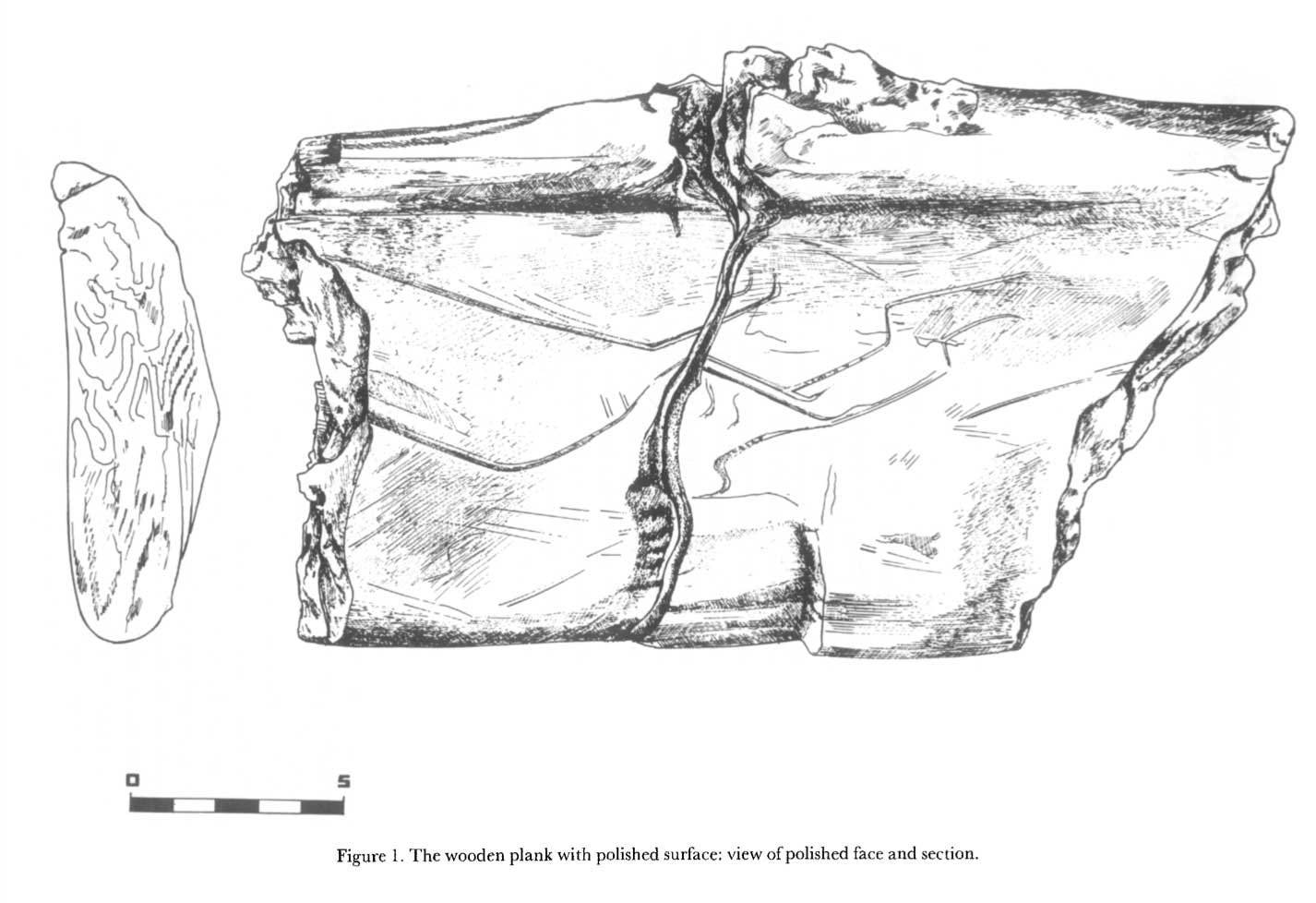 Drawing of the face and cross-section of a wooden plank, showing the polished surface 