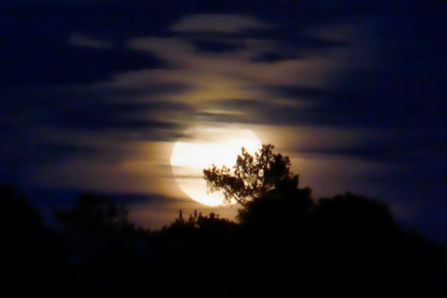 A full moon shines behind scattered clouds and treetops