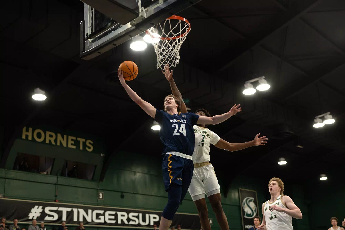 Trent McLaughlin - Men's Basketball - Northern Arizona University Athletics