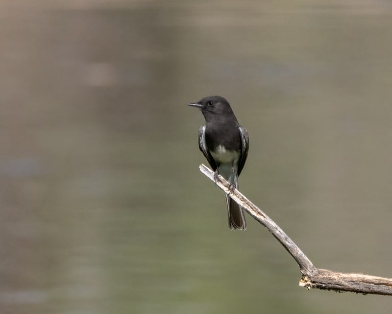 untitled-92-Edit.jpg