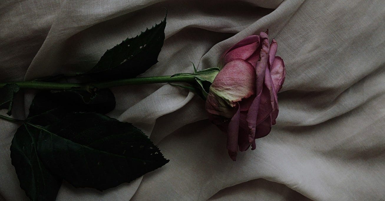 pink rose flower on gray textile