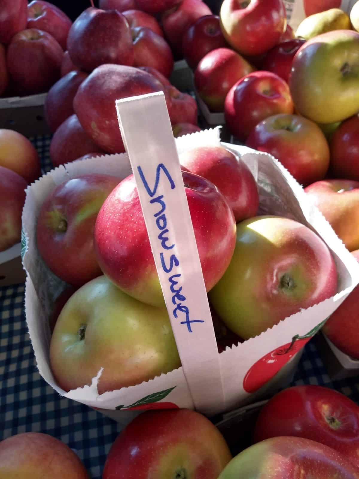 A bag of Snow Sweet apples with the sun shinning on it.