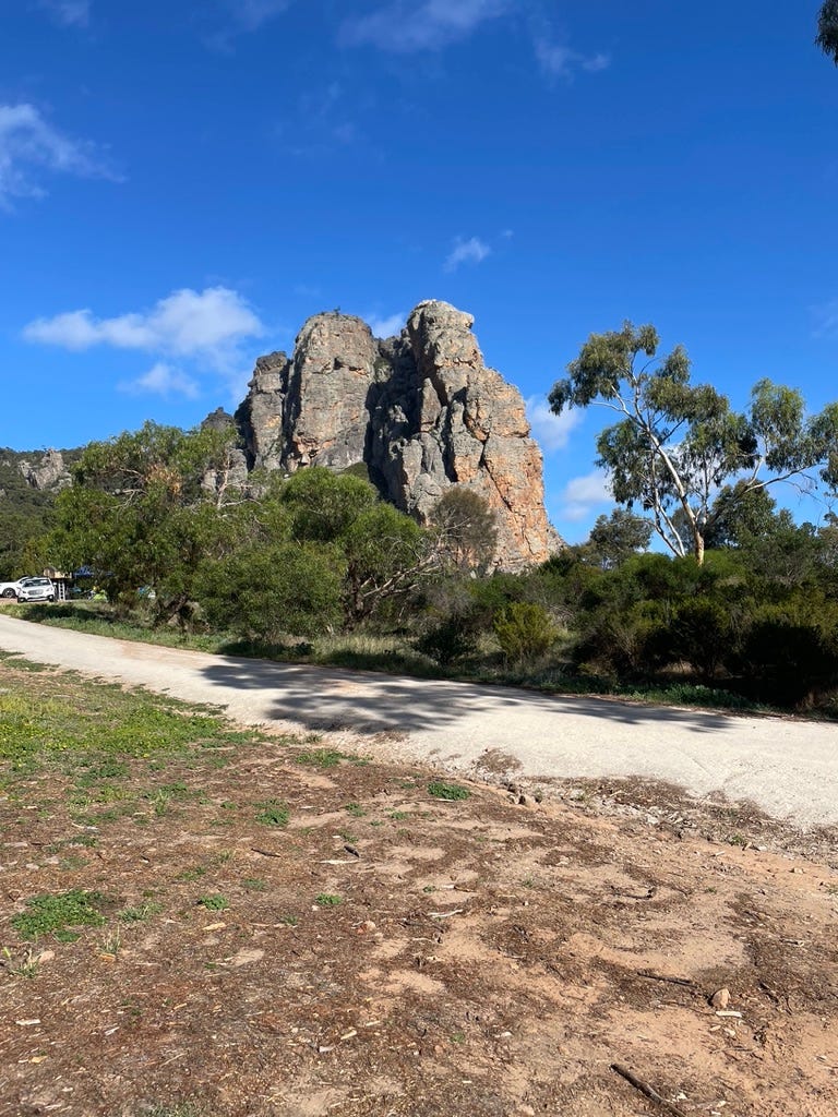 Rocky cliffs against a clear blue sky, with shrubs and a gravel road in the foreground.