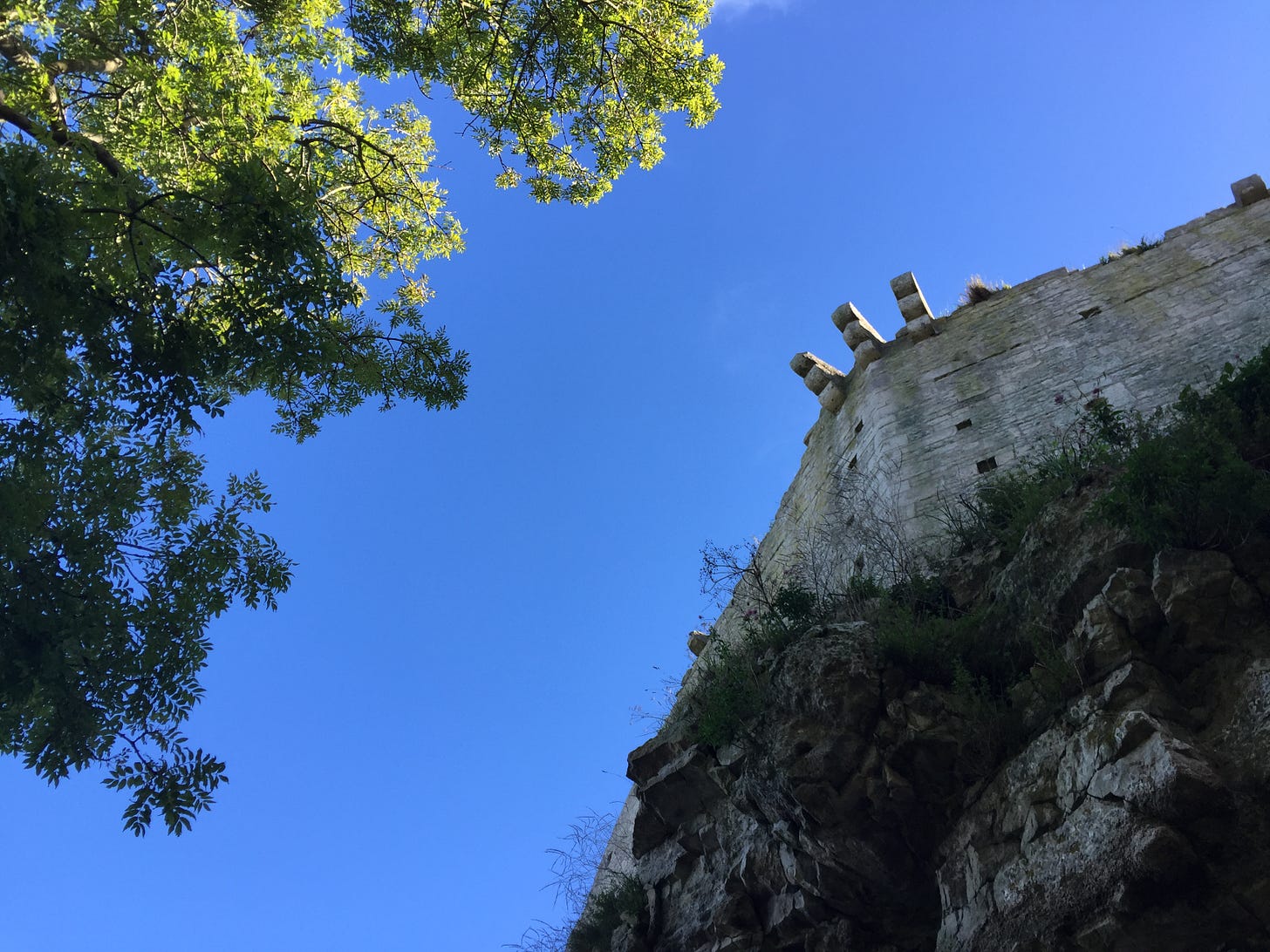 Blue sky between ash tree and Norman rampart