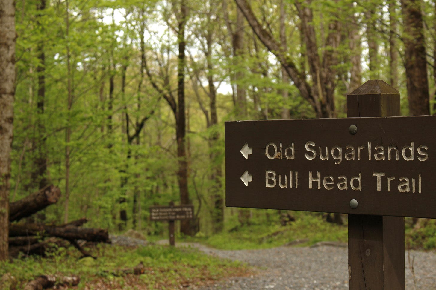 A brown trail sign with two arrows and two trail names: Old Sugarlands and Bull Head Trail. A forest and winding gravel trail are in the background. A brown trail sign with two arrows and two trail names: Old Sugarlands and Bull Head Trail. A forest and winding gravel trail are in the background.