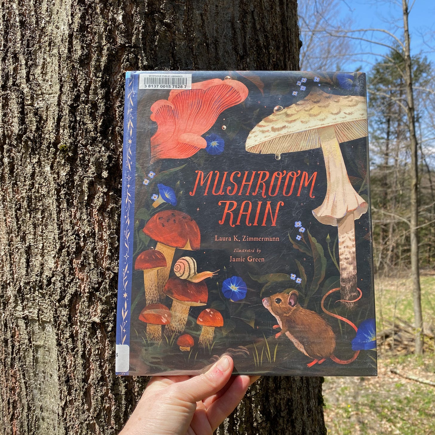I’m holding up this book in front of a large tree trunk on a sunny day.