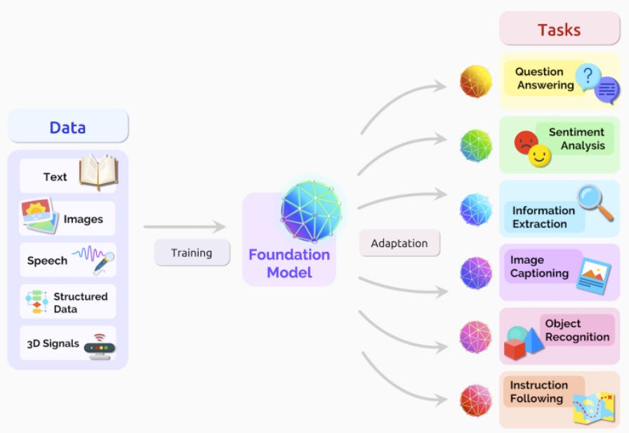 Figure explaining the purpose and application of a foundation model