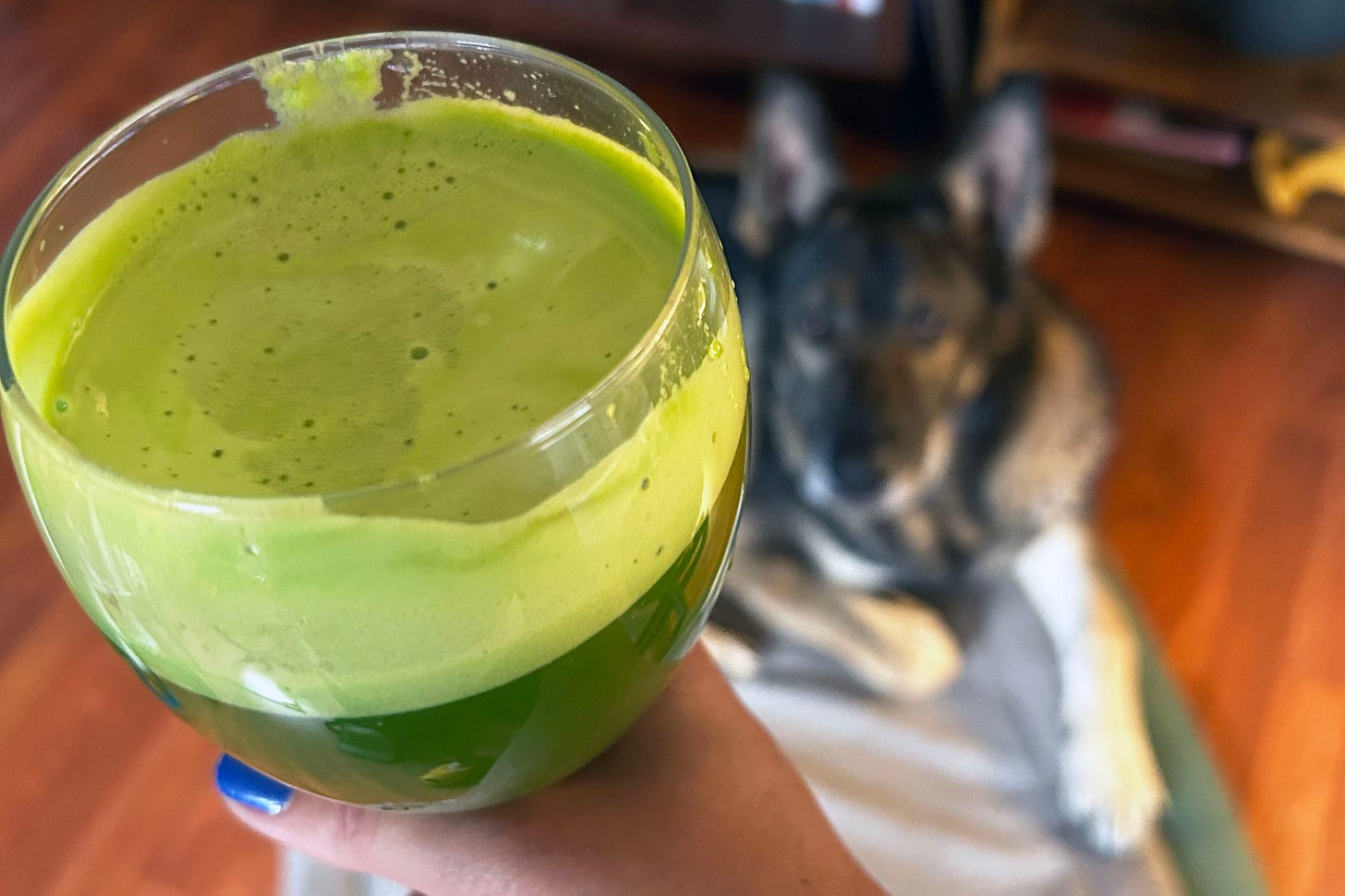 A hand holds a wine glass full of juice, with a dog looking on in the background.