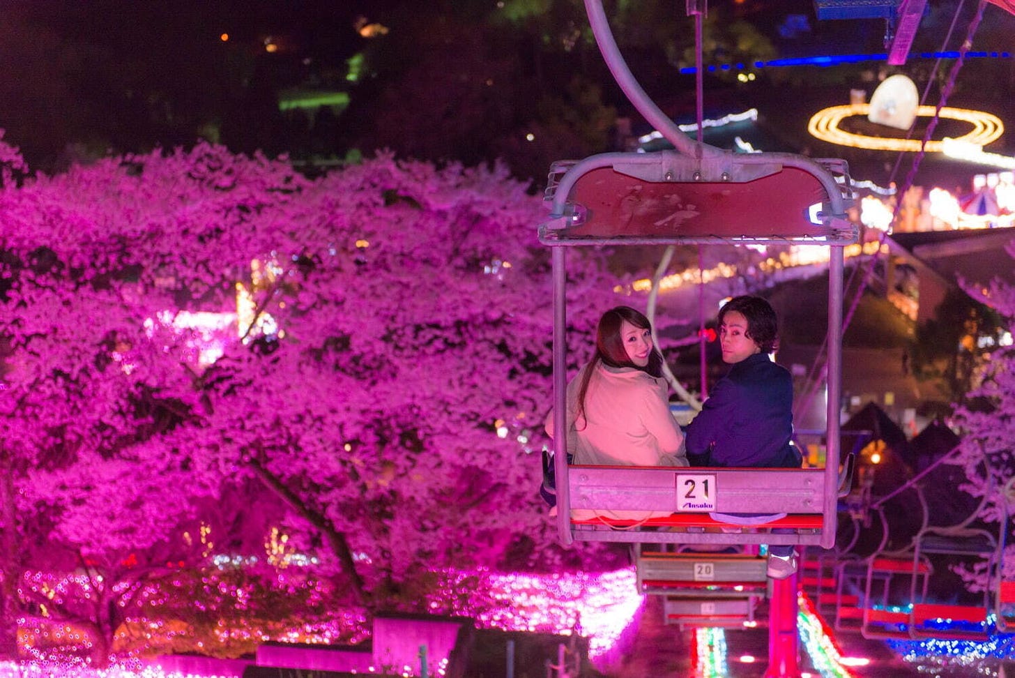 Sagamiko Illumillion Cherry Blossom