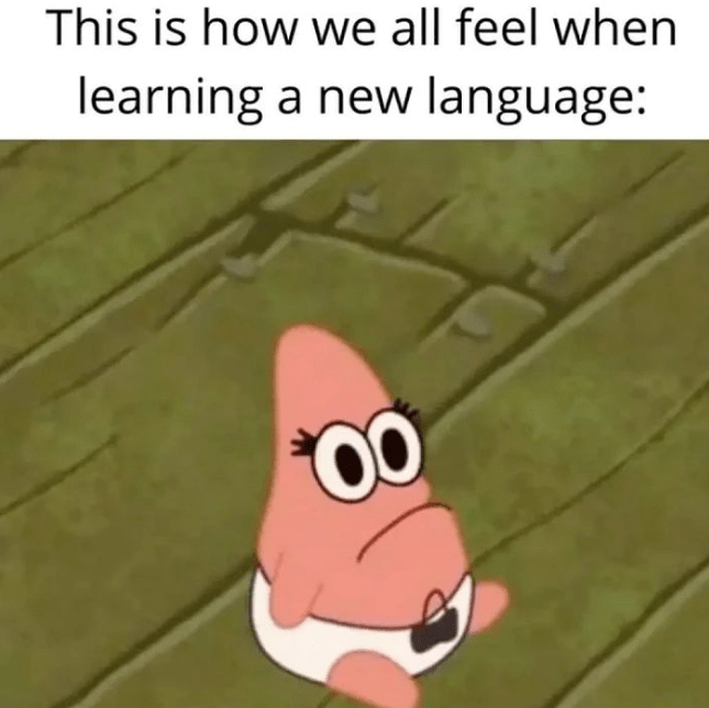 This is how we all feel when learning a new language: 00