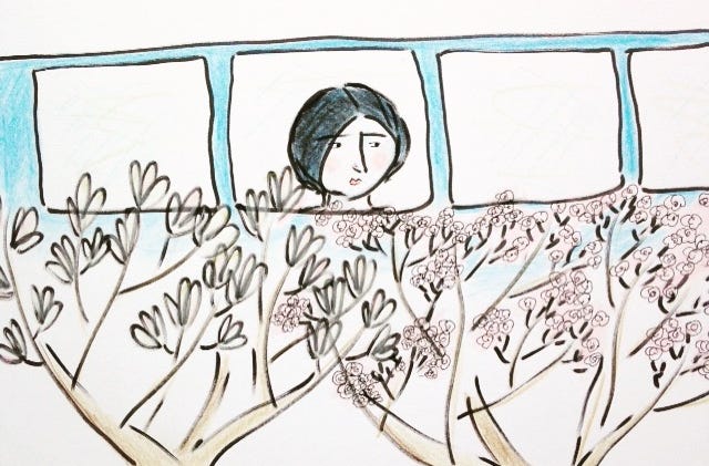 Colour pencil drawing of a white woman with black hair looking out of a train window at trees covered in cherry blossom.