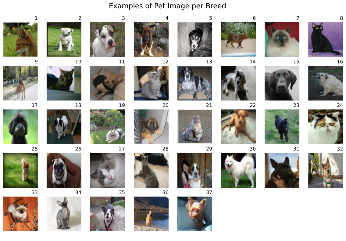 Machine Learning Cats and Dogs Breeds Classifier | Towards Data Science