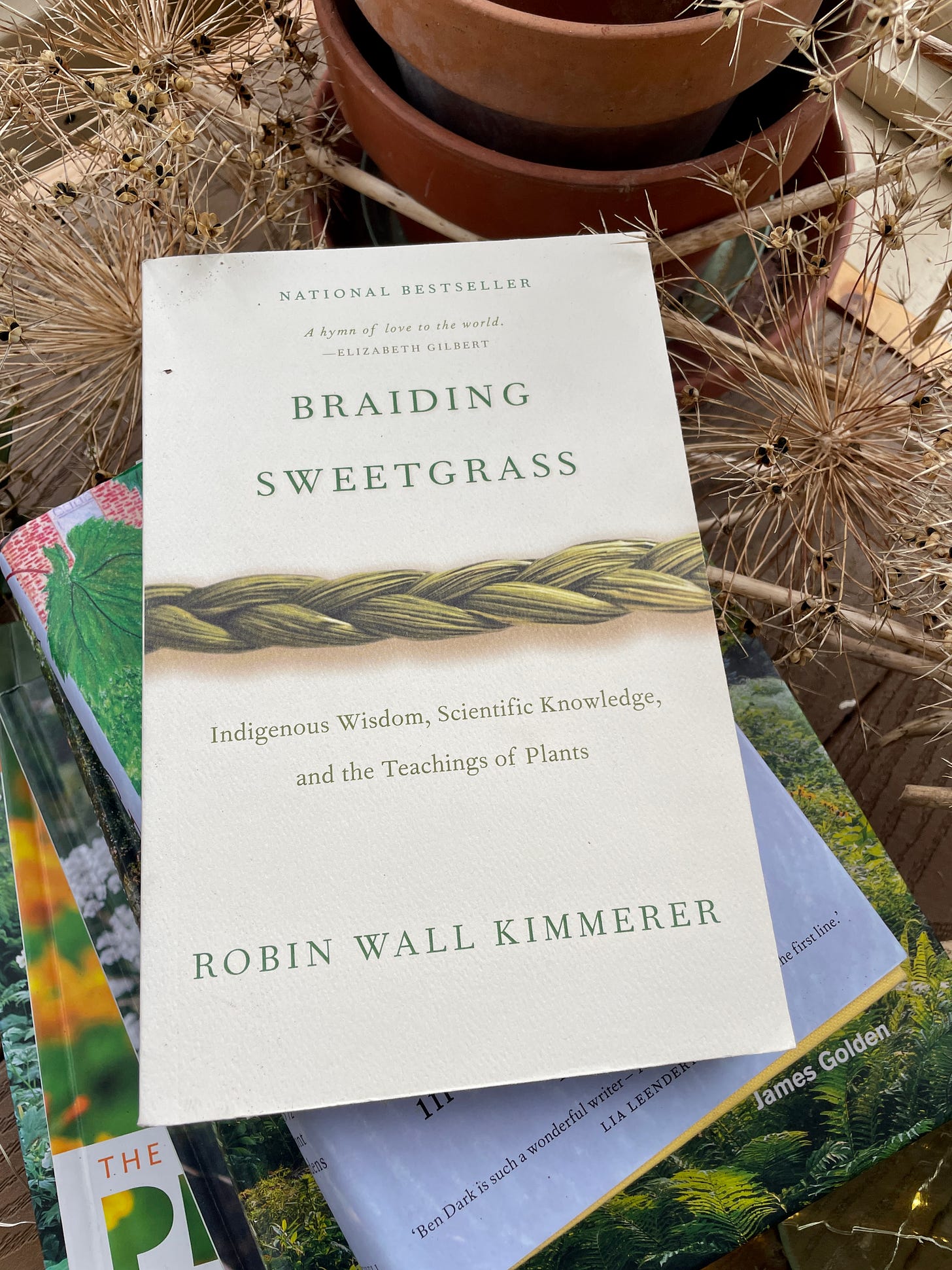  Braiding Sweetgrass by Robin Wall Kimmerer