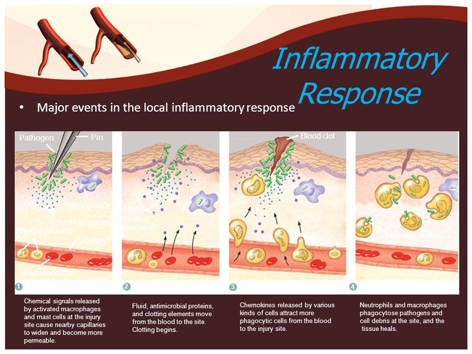 Inflammation or Inflammatory barrier of immune system