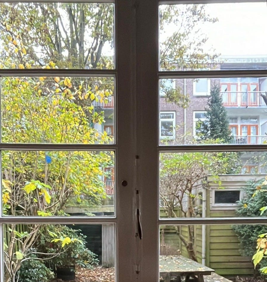 A photo through a large window pane in Amsterdam taken at the time of writing. There is a large wooden picnic bench in the middle, covered in brown autumn leaves, some small trees turning yellow in the foreground, and the edge of a fig tree almost out of view on the right.