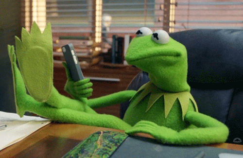 GIF of Kermit the Frog sitting behind a desk with his feet up, looking at a cell phone and shaking his head disparagingly.