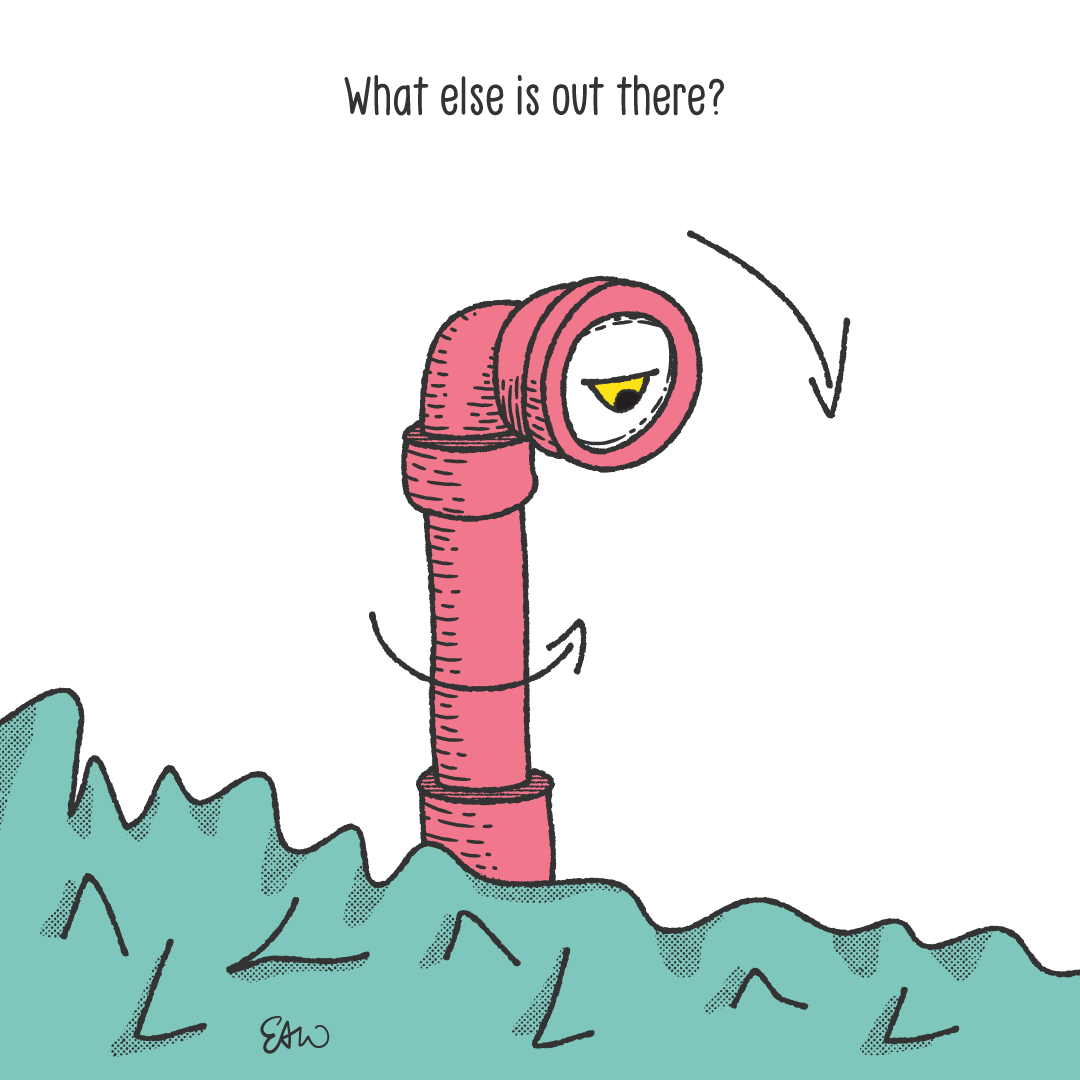 Back to the illustration of a periscope looking around over some tall hedges with the caption, what else is out there?