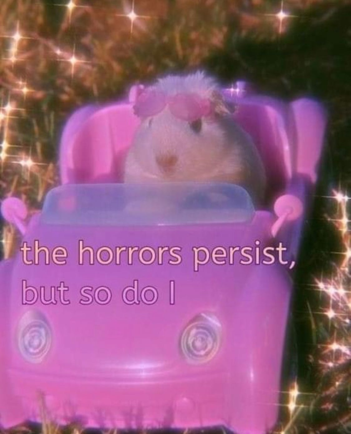 A meme featuring a guinea pig wearing pink sunglasses in a pink car, surrounded by sparkly lights. Text on the image reads "The horrors persist, but so do I."