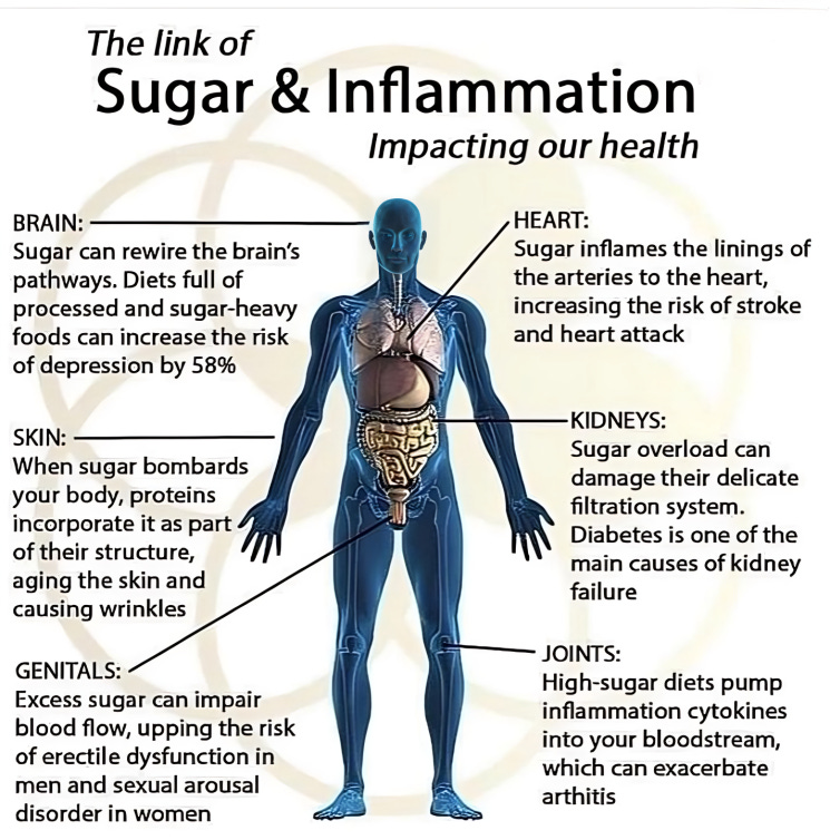 Illustration showing how sugar affects the brain, heart, skin, kidneys, joints, and genitals through inflammation.