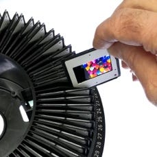 A hand holding a small camera

Description automatically generated
