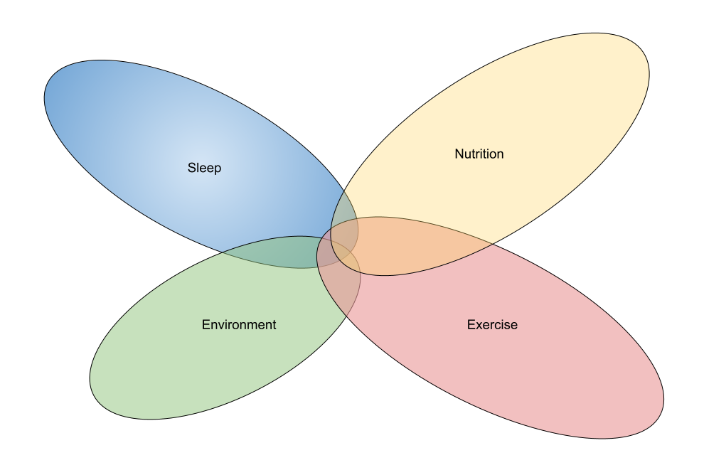 Venn diagram of Sleep, Nutrition, Environment, Exercise