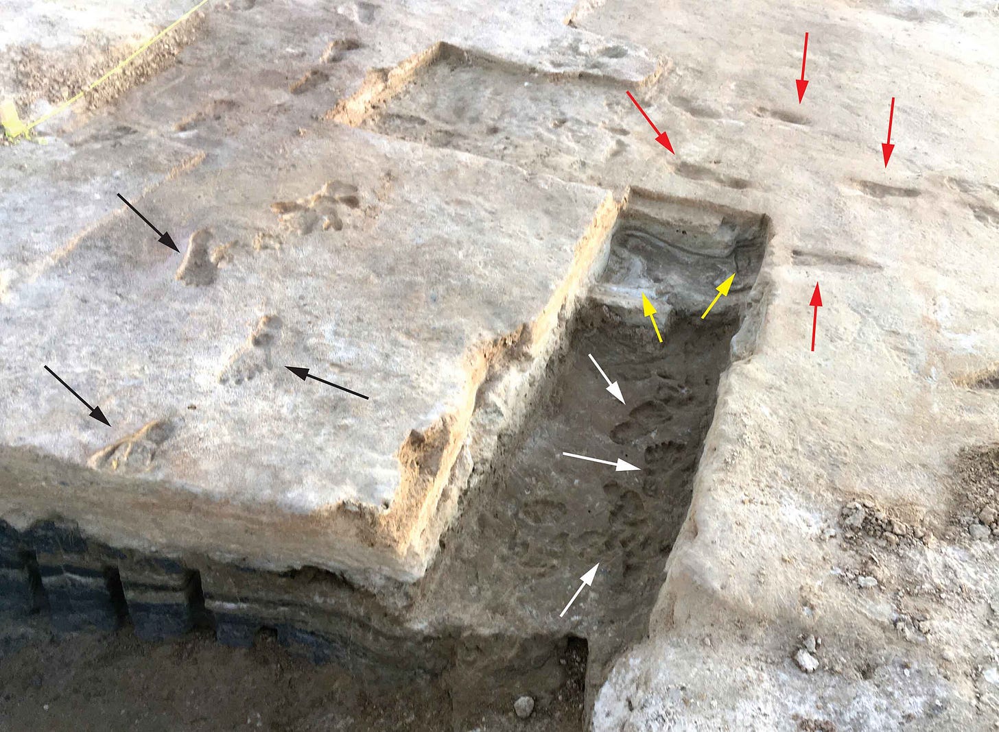 An excavation space showing trenches cut at right angles and footprints preserved in four different levels. An excavation space showing trenches cut at right angles and footprints preserved in four different levels.