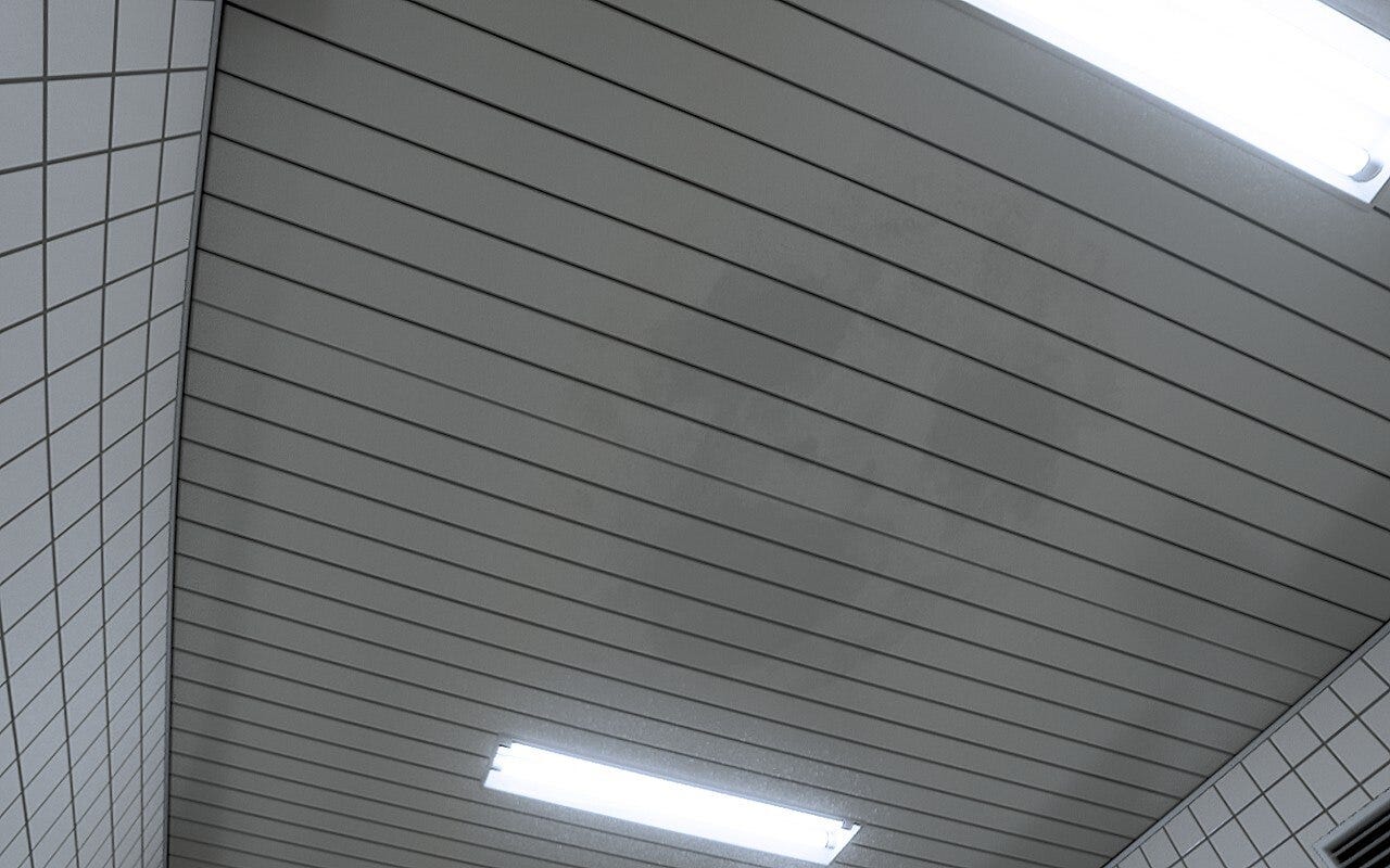 A light grey stain on a grey ceiling